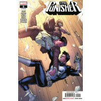 The Punisher Vol. 14 #5 Cover A